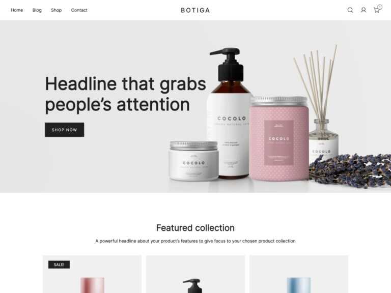 Download Botiga WordPress