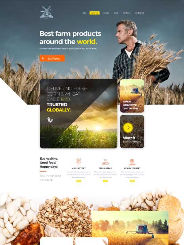 Download Theme Farm WordPress