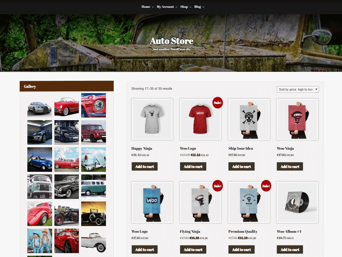 Auto Store