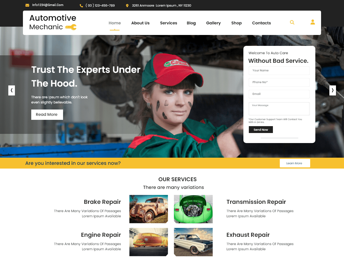 Automotive Mechanic