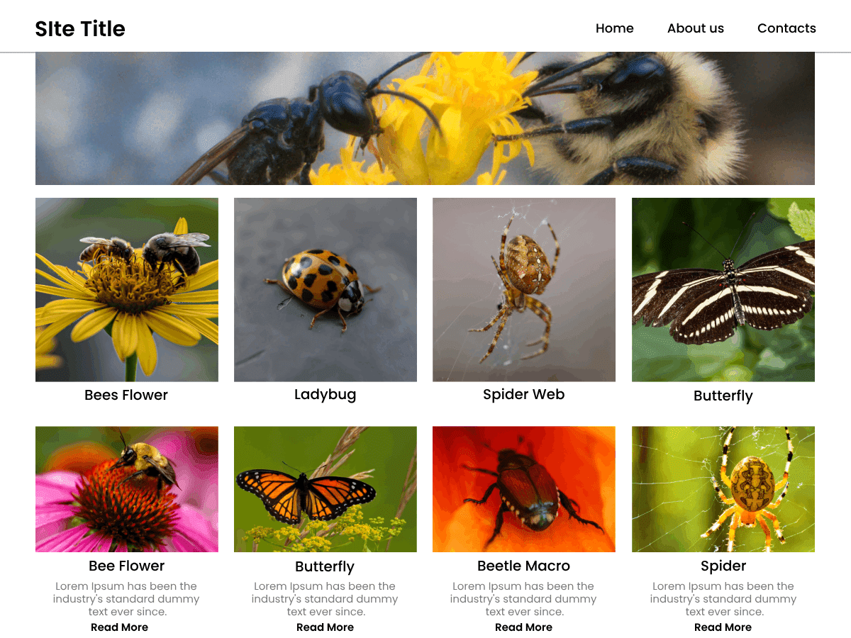 Ava WP - Tema WordPress Ava WP