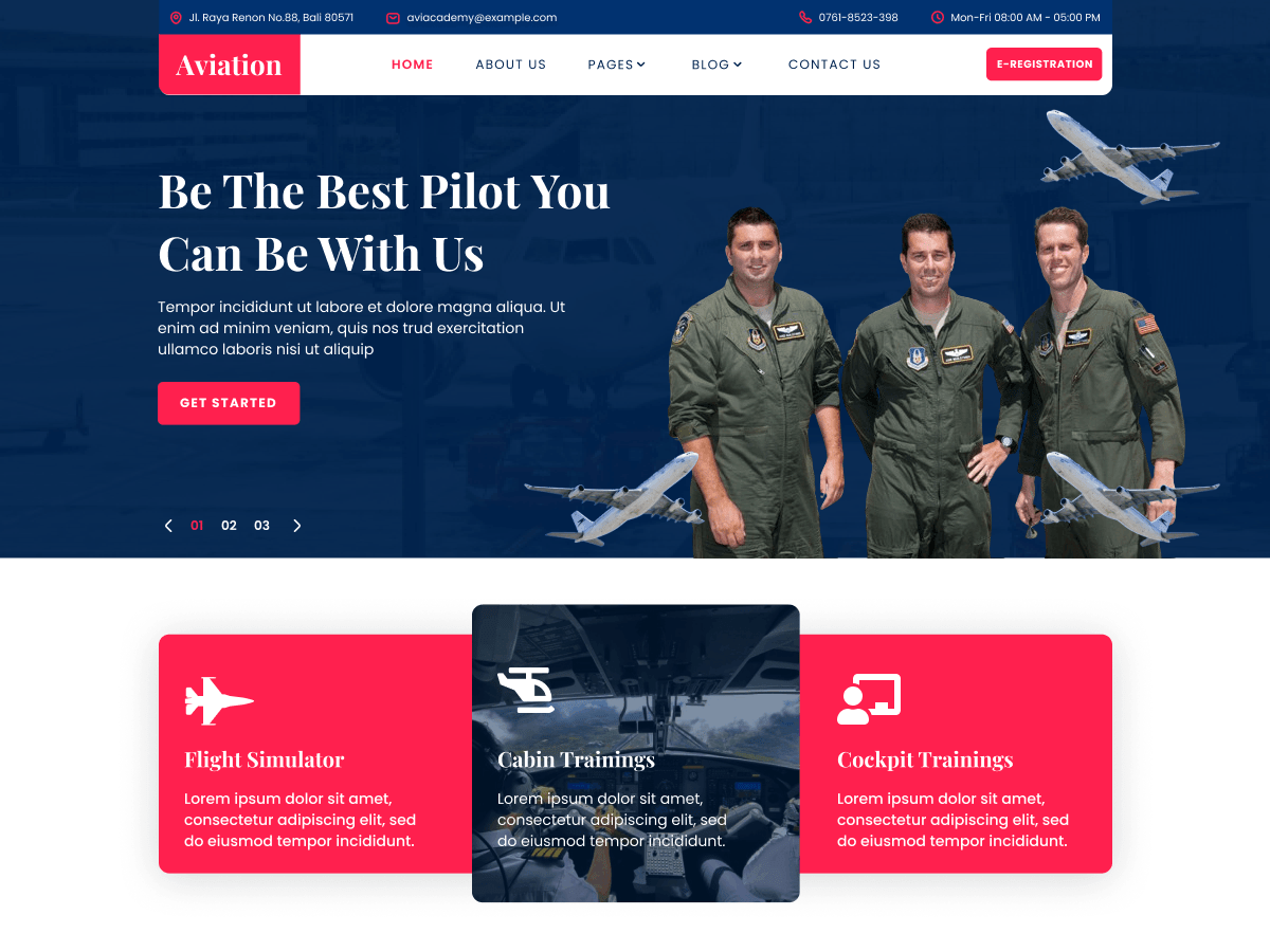 Aviation Industry