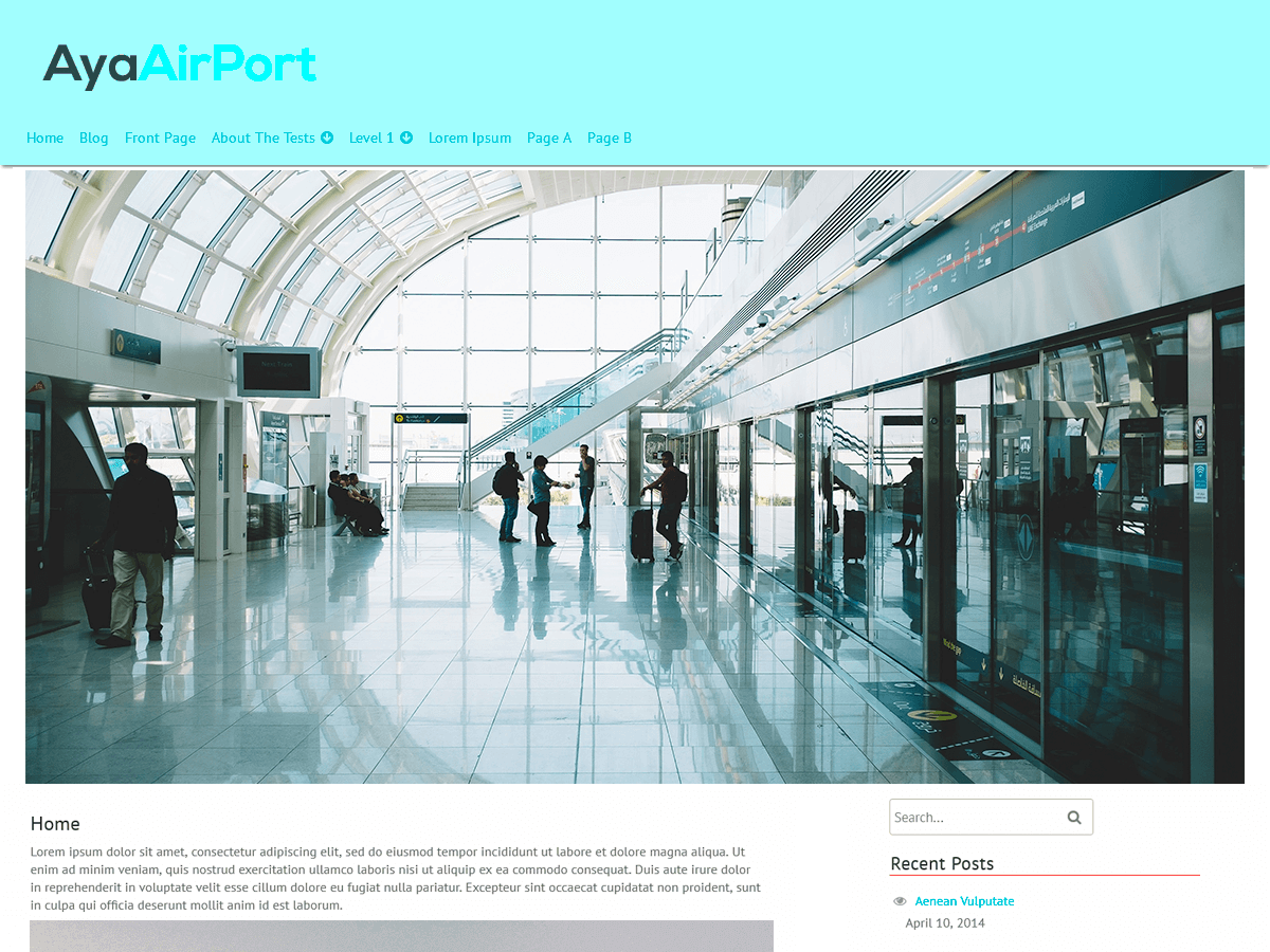 AyaAirPort