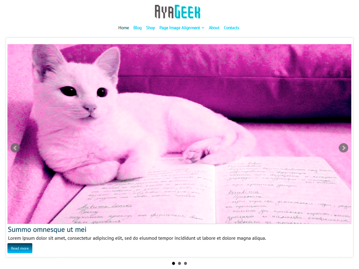 AyaGeek - Tema WordPress AyaGeek