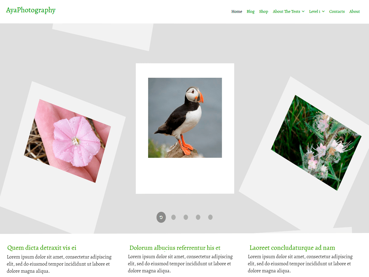 AyaPhotography - Tema WordPress AyaPhotography
