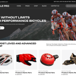 Bicycle Repair Shop
