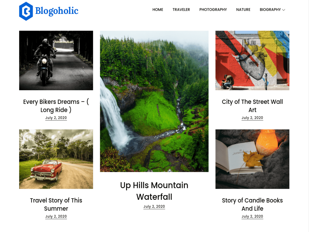 Blogoholic