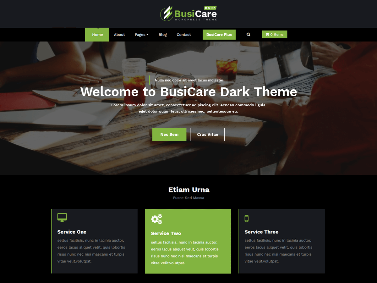 BusiCare Dark