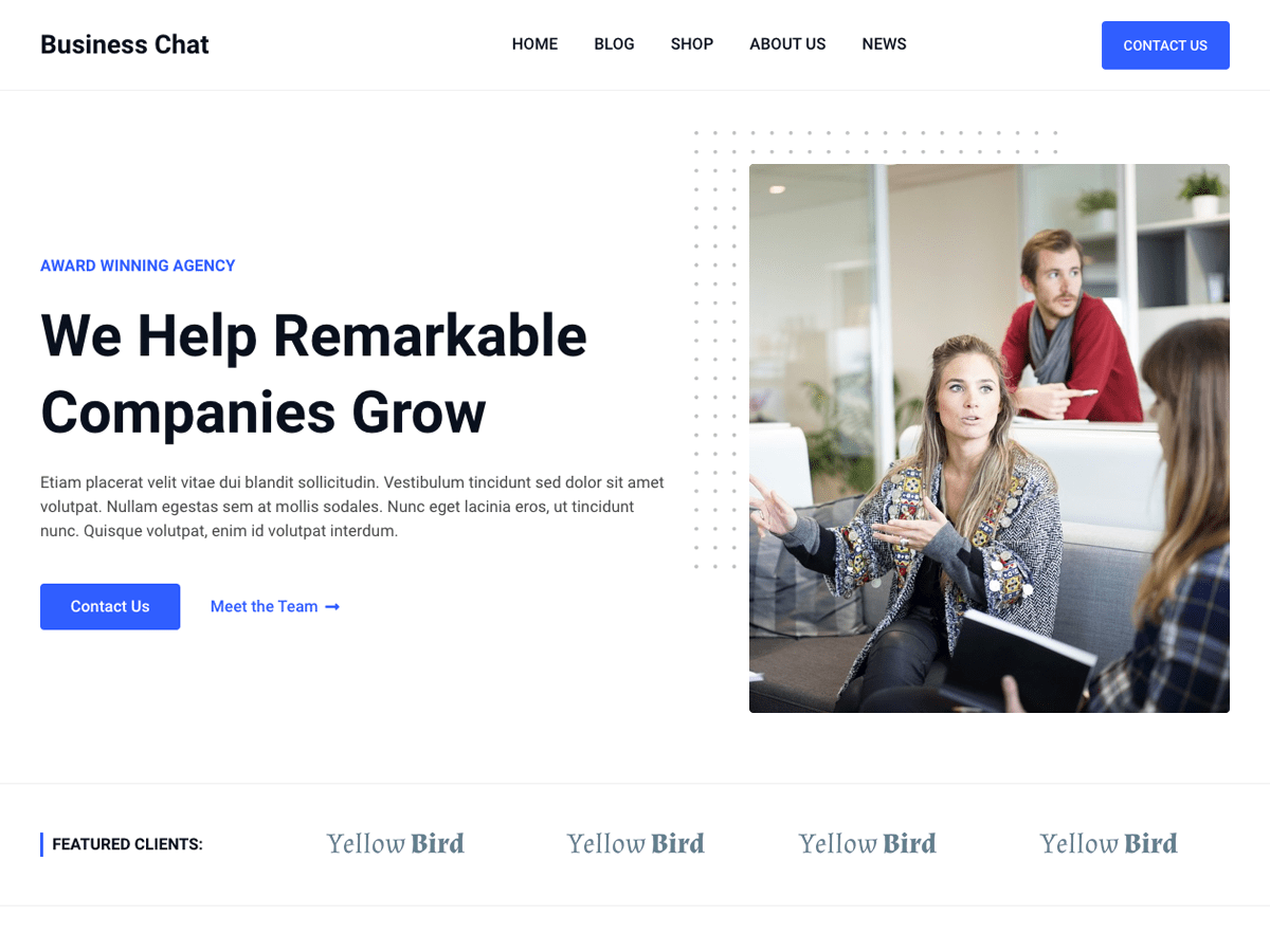 Business Chat - Tema WordPress Business Chat