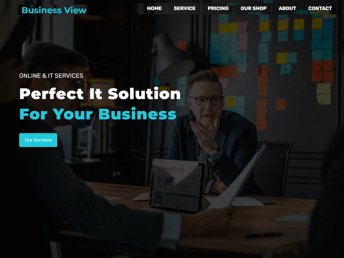 Business View