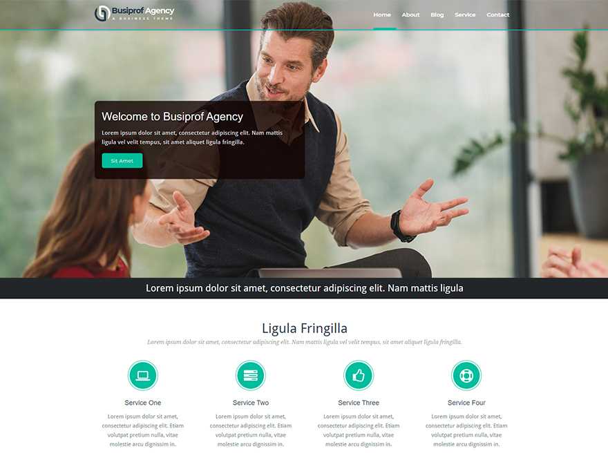 Busiprof Agency