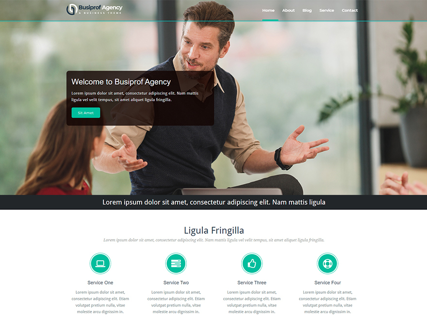 Busiprof Agency