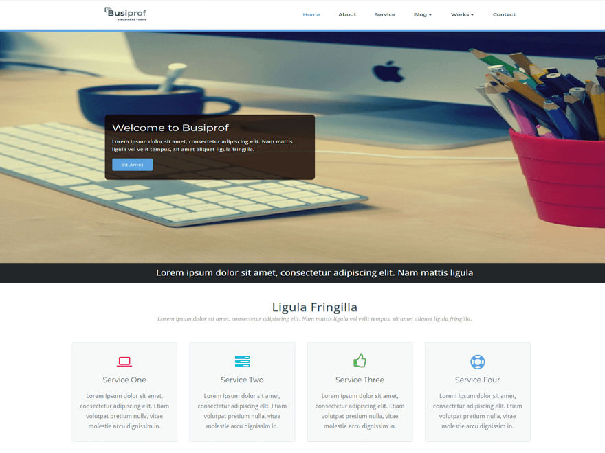 Busiprof - Tema WordPress Busiprof