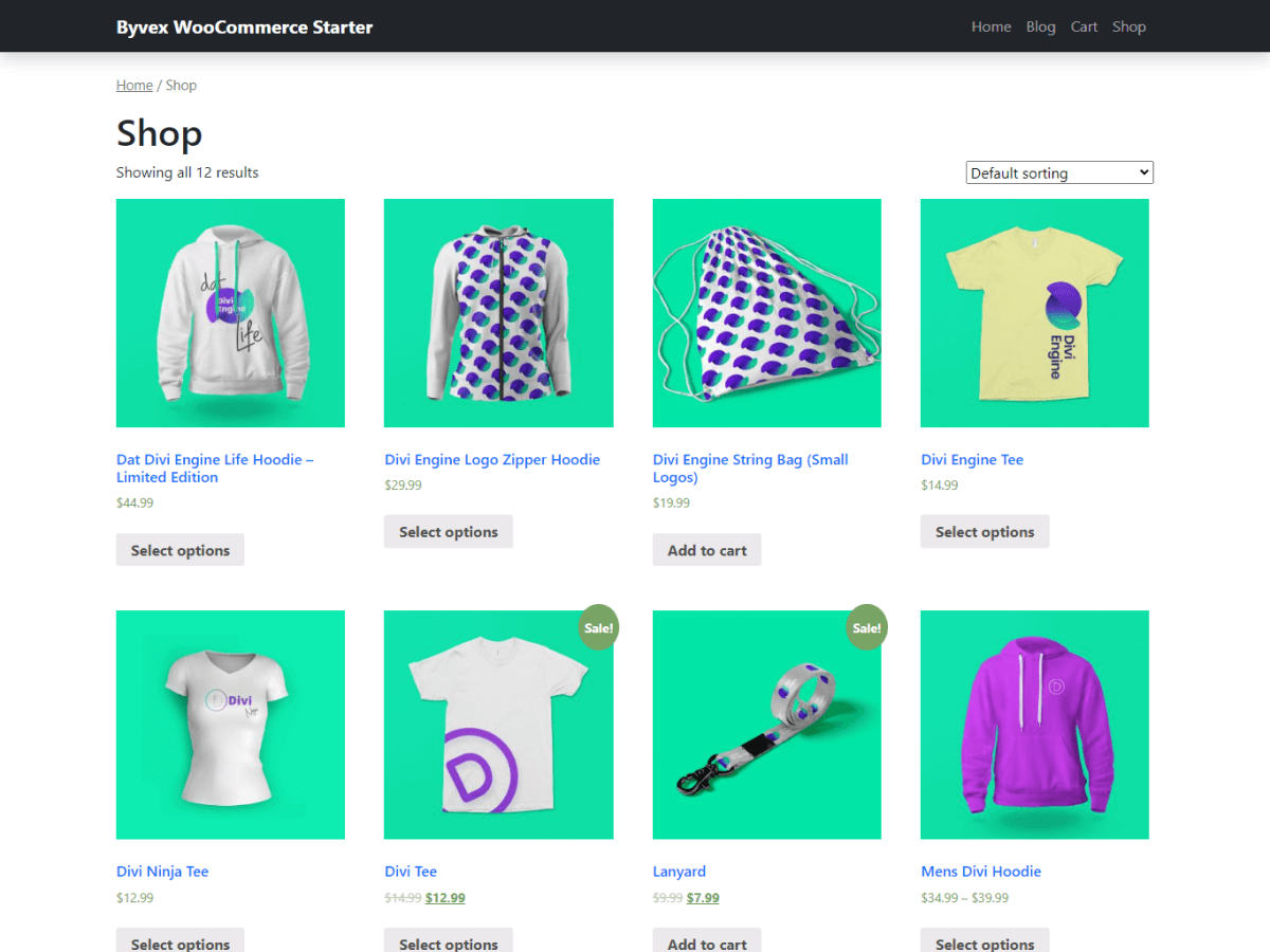 Byvex WooCommerce Starter