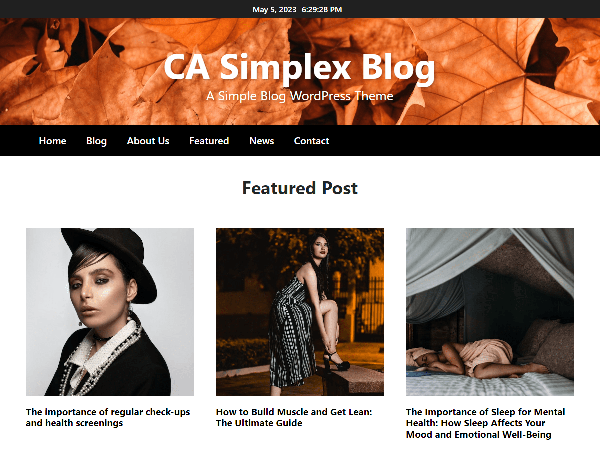 CA Simplex Blog - Tema WordPress CA Simplex Blog