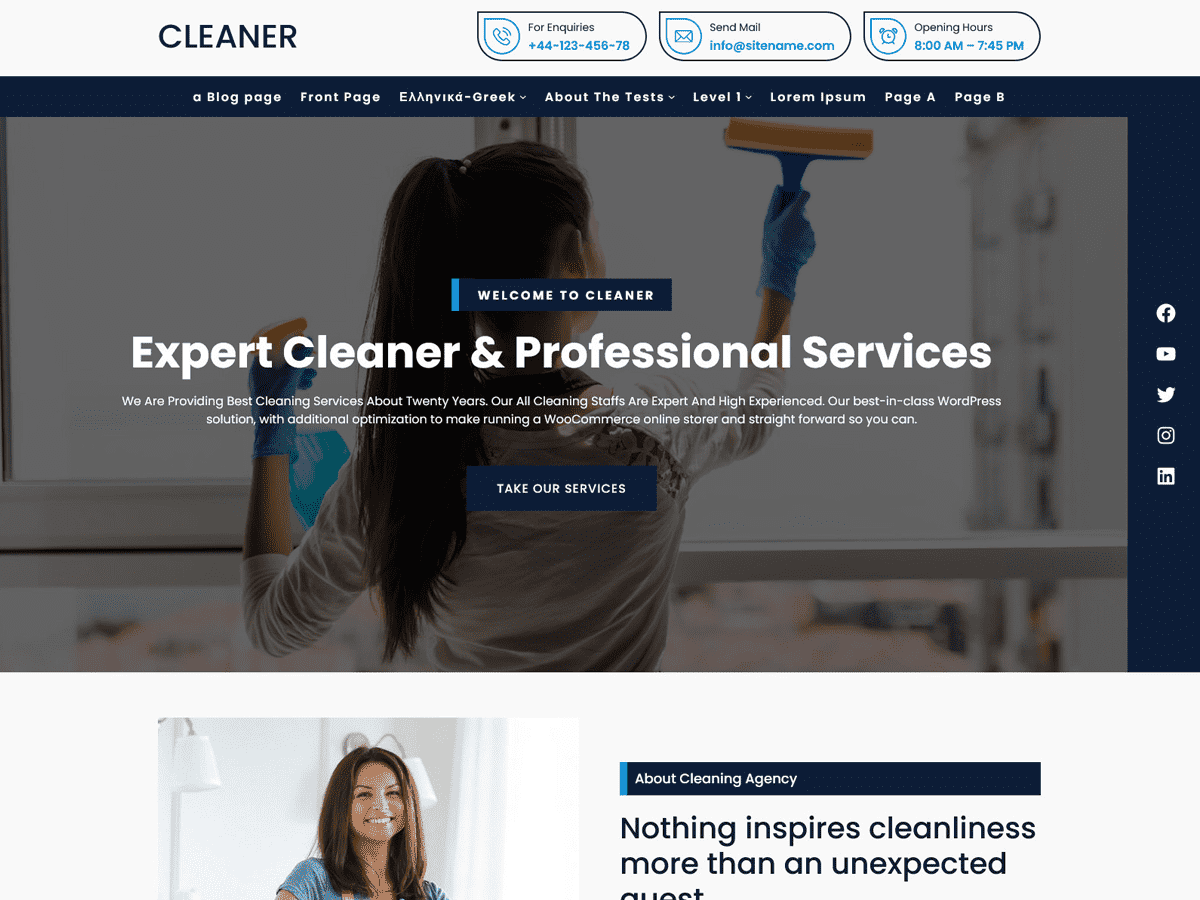 Cleaner