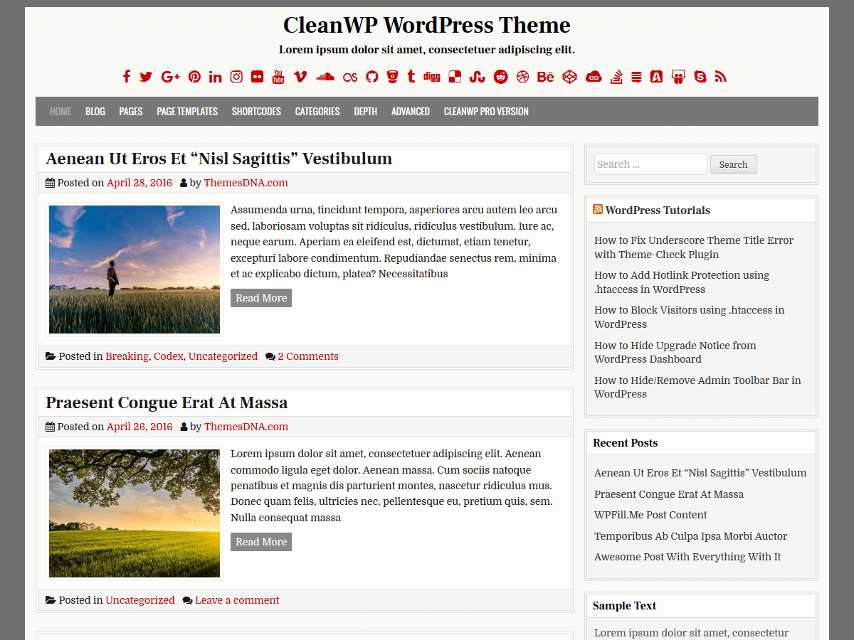 CleanWP - Tema WordPress CleanWP