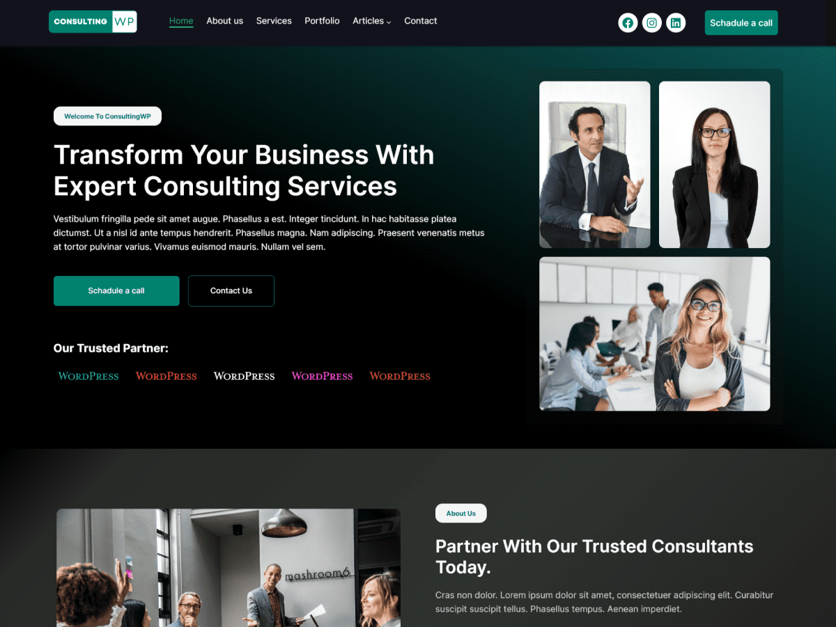 ConsultingWP - Tema WordPress ConsultingWP