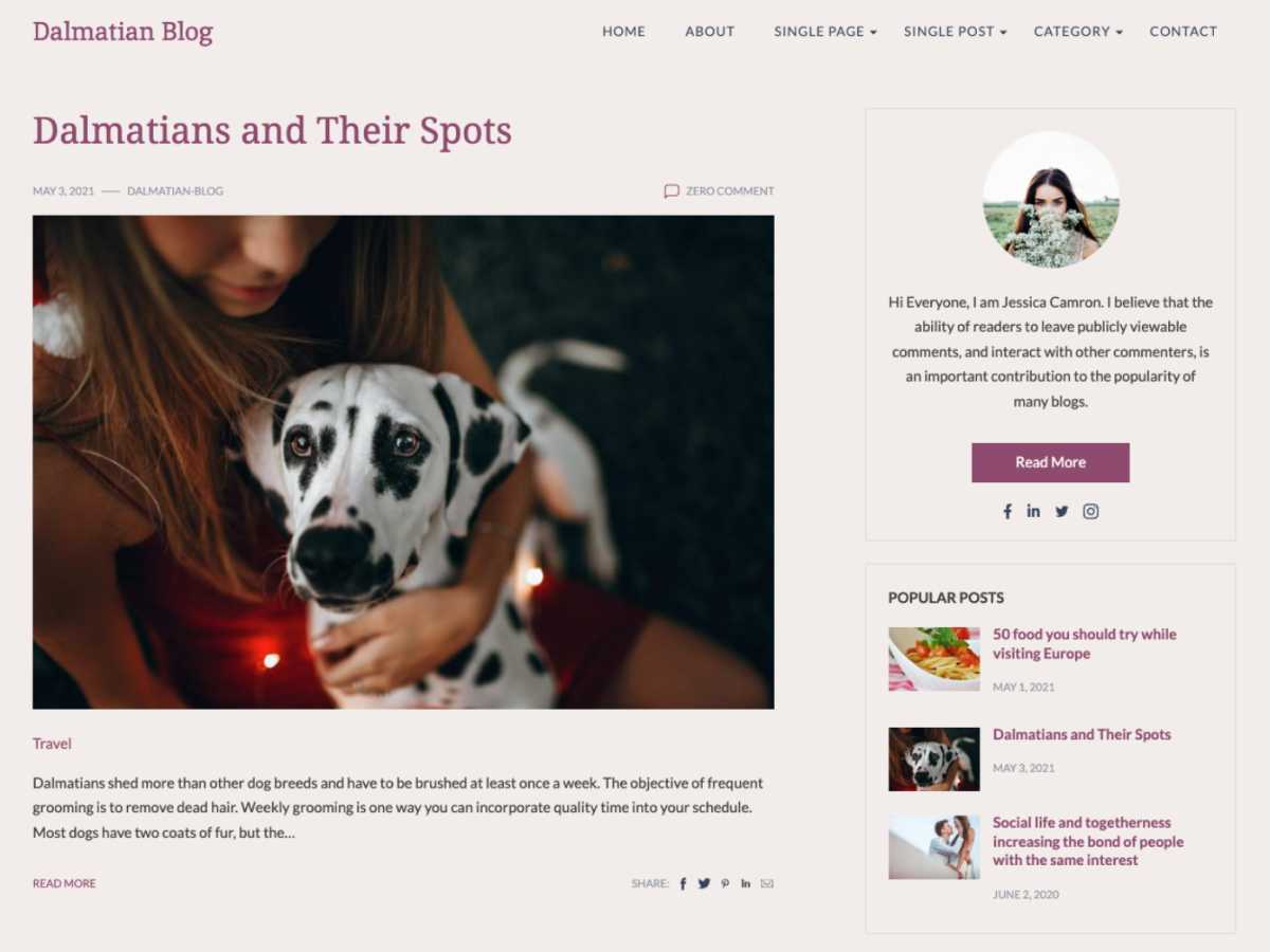 Dalmatian Blog