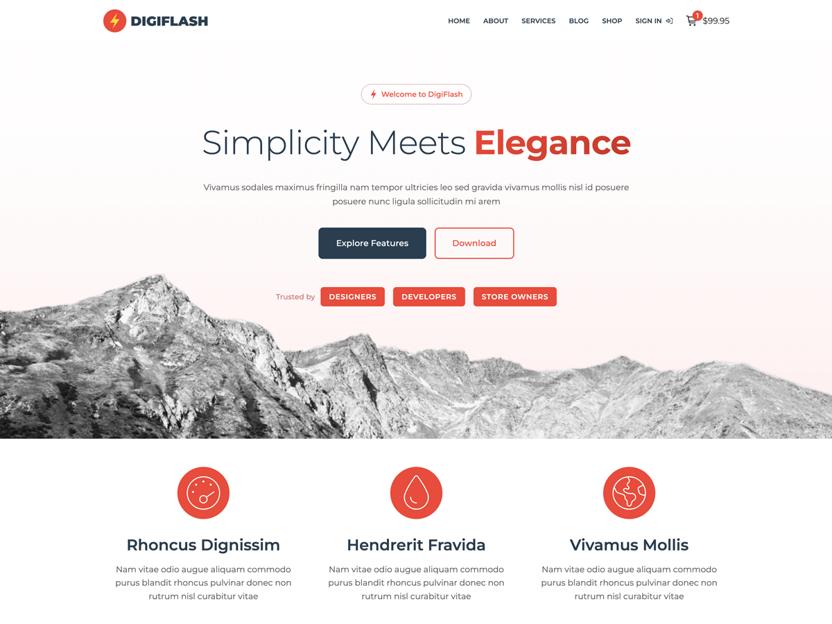 DigiFlash