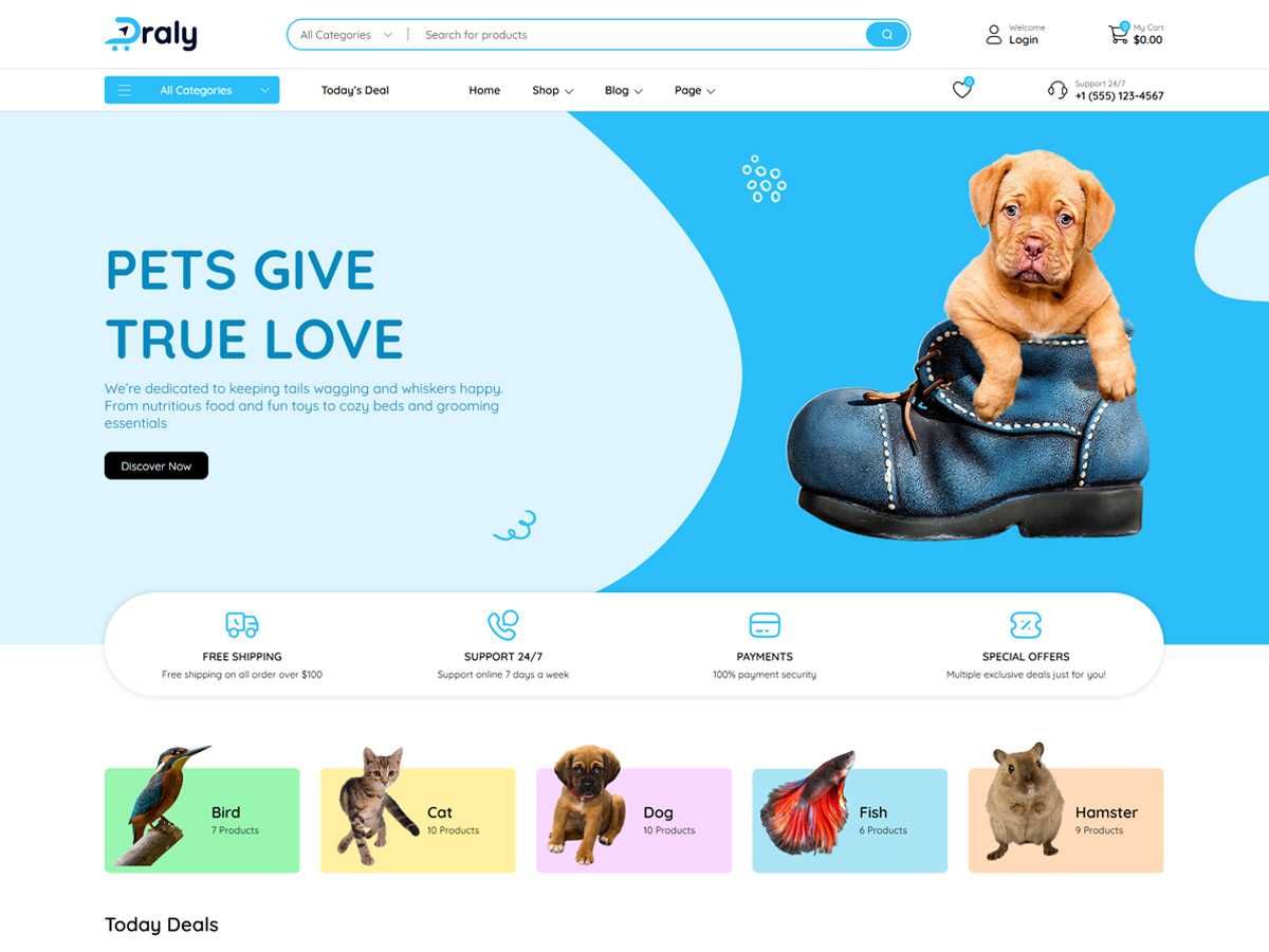 Draly Dropshipping Starter