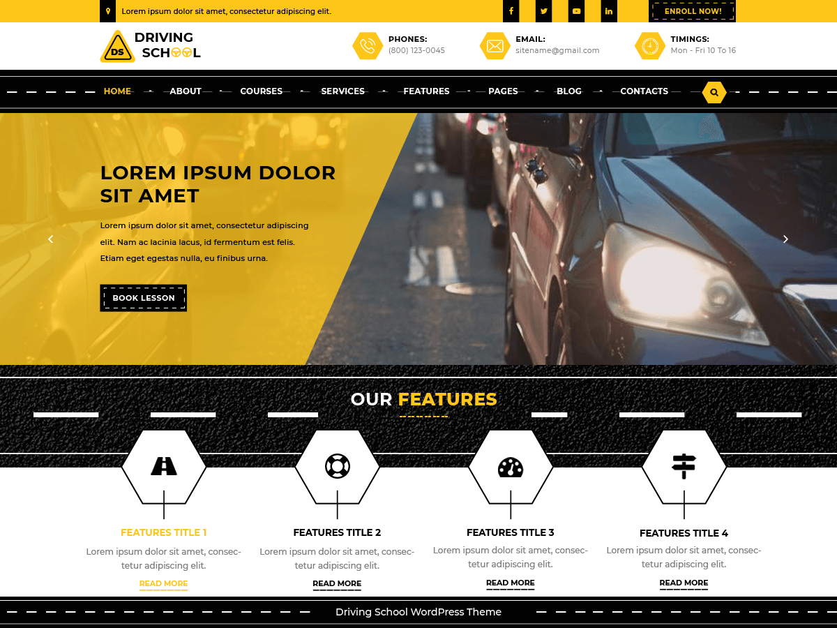 Driving School Lite