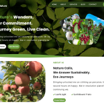 Eco Green