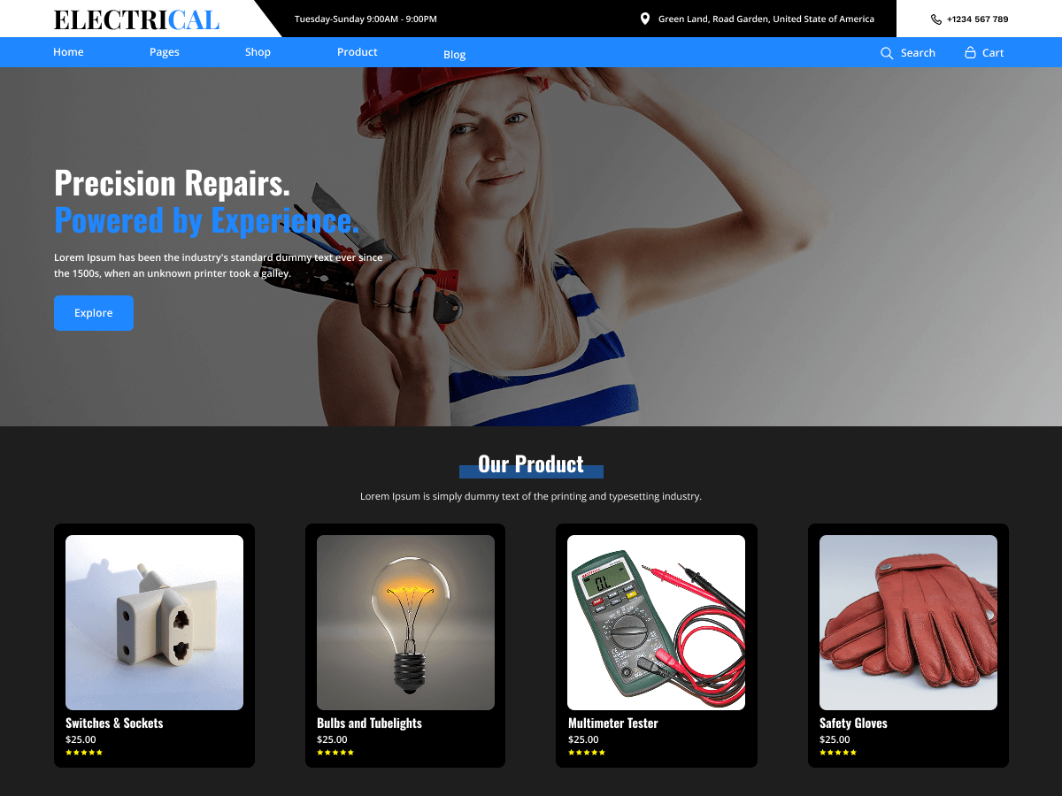 Electrical Repair