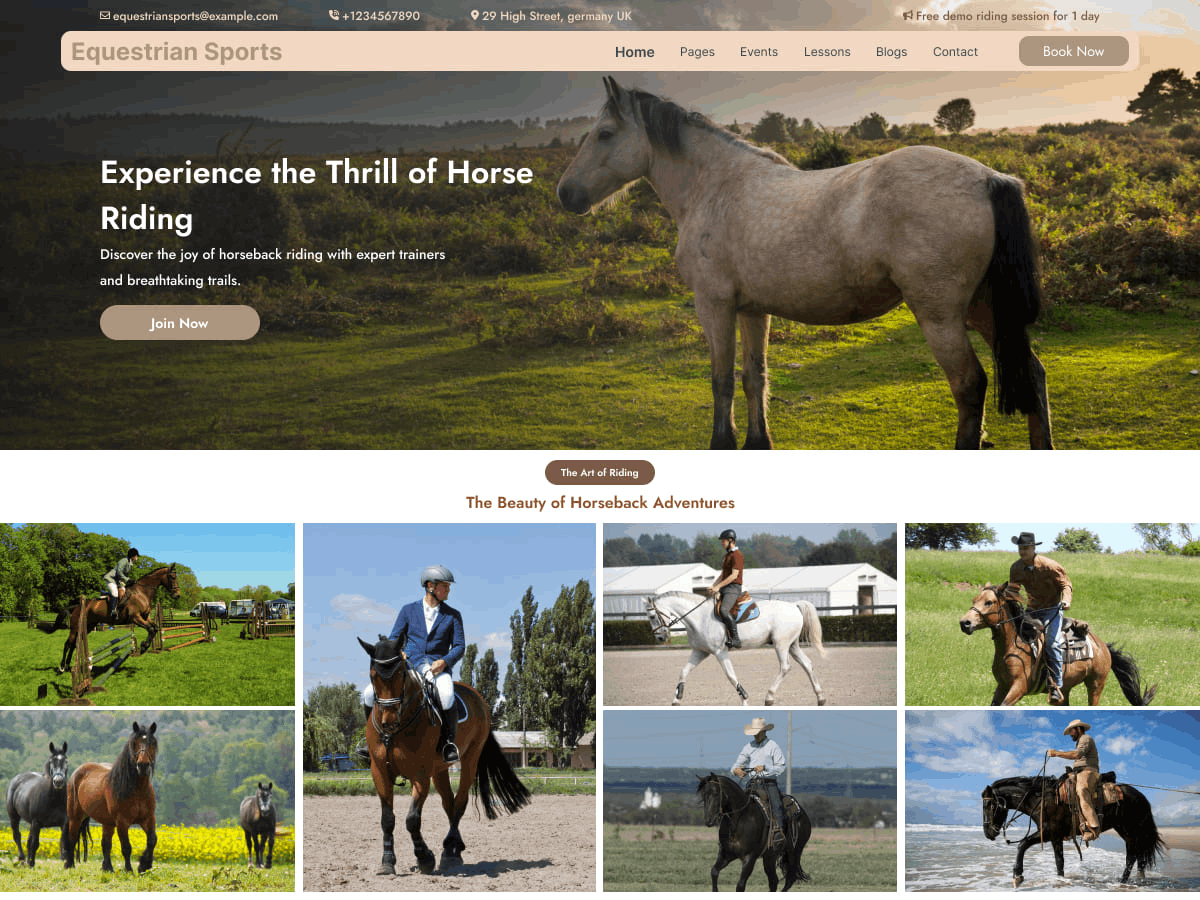 Equestrian Sports