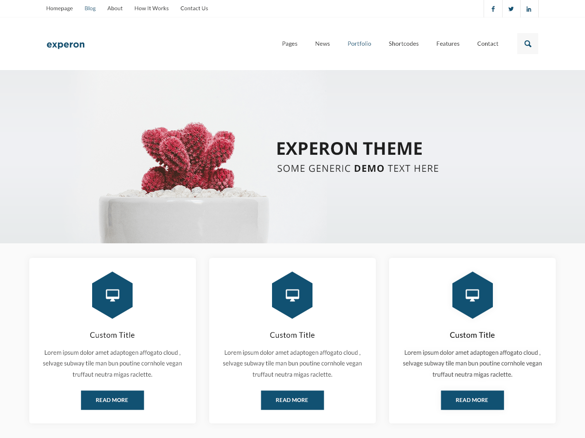 Experon grid - Tema WordPress Experon grid