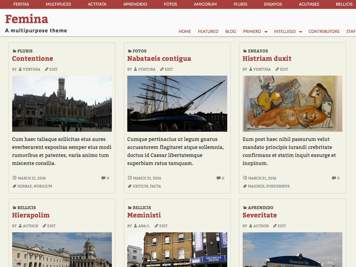 Femina - Tema WordPress Femina