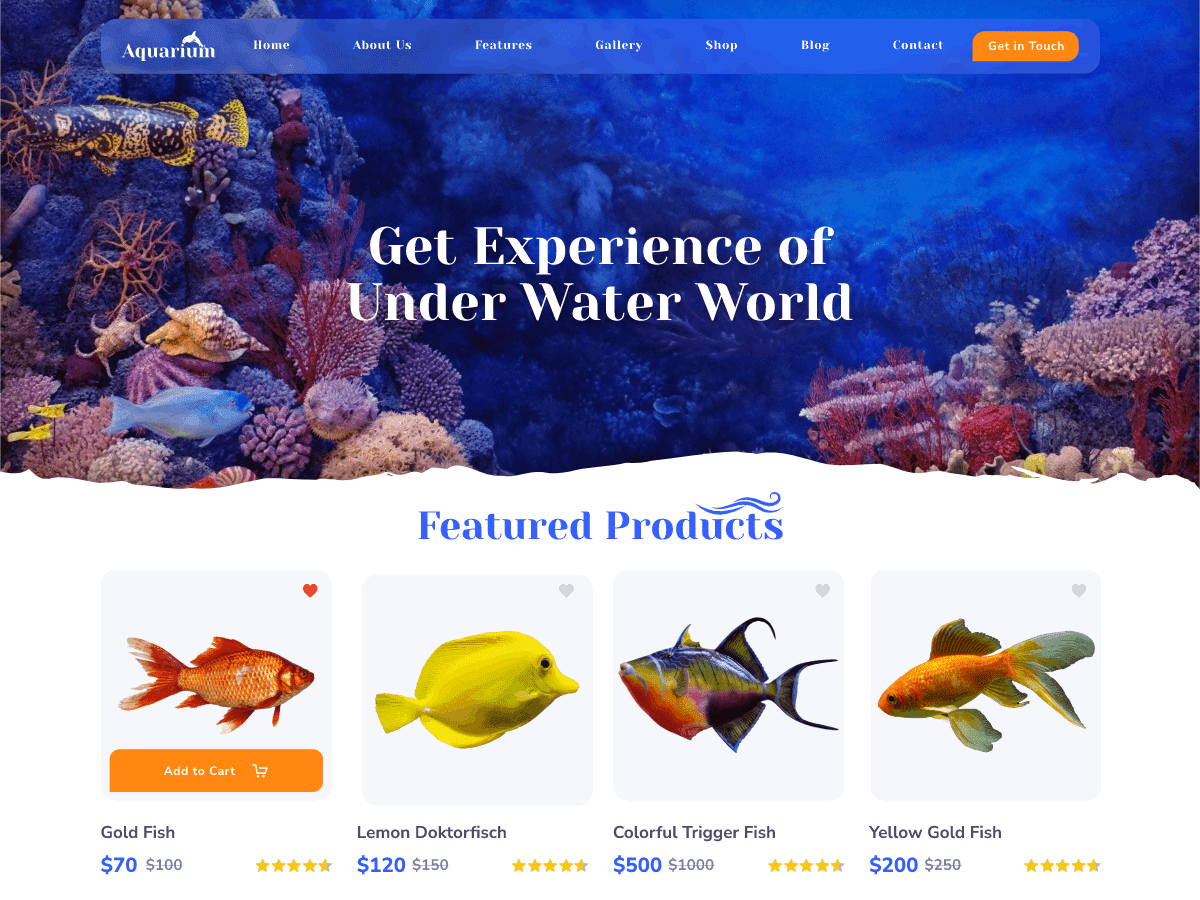 Fish Aquarium