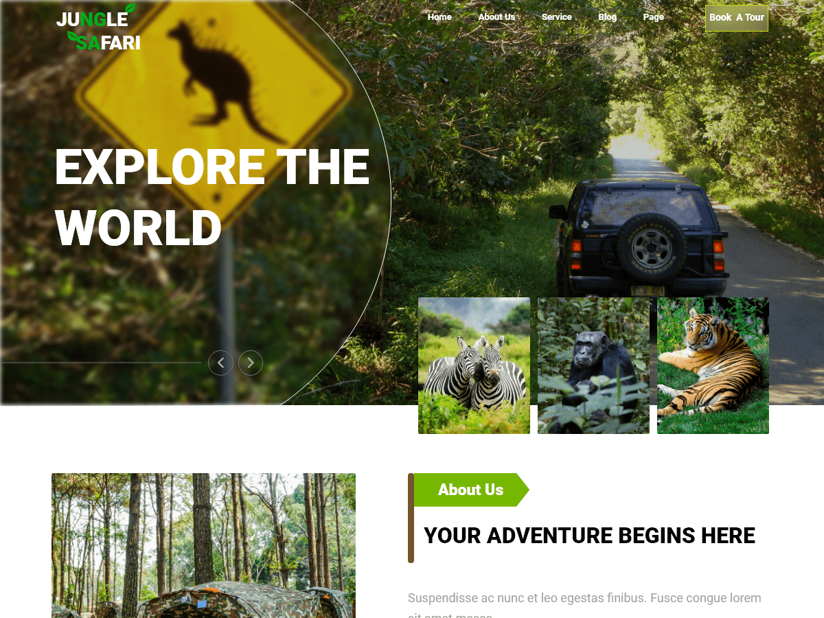 Forest Adventure Tour