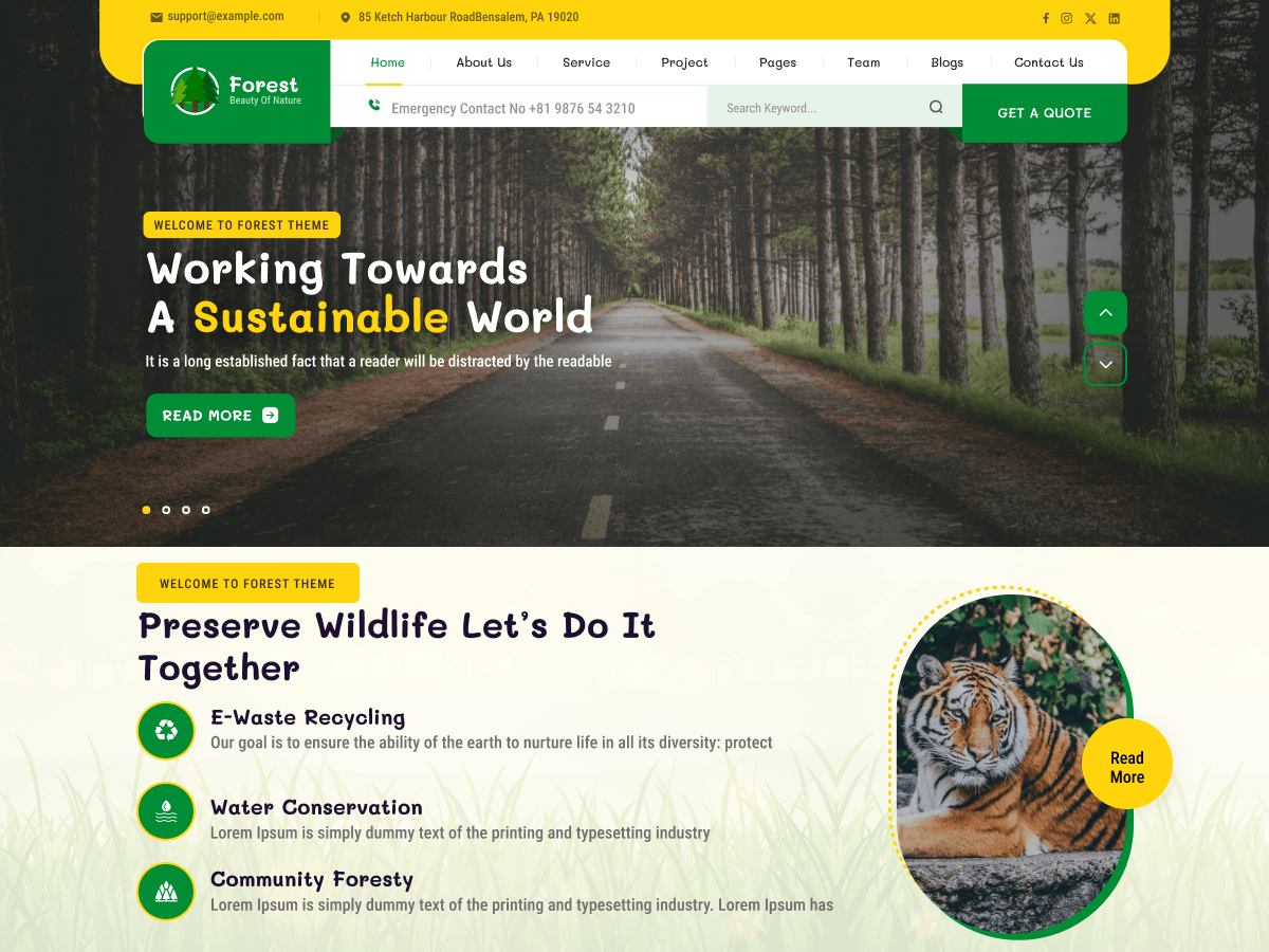 Forest Eco Nature