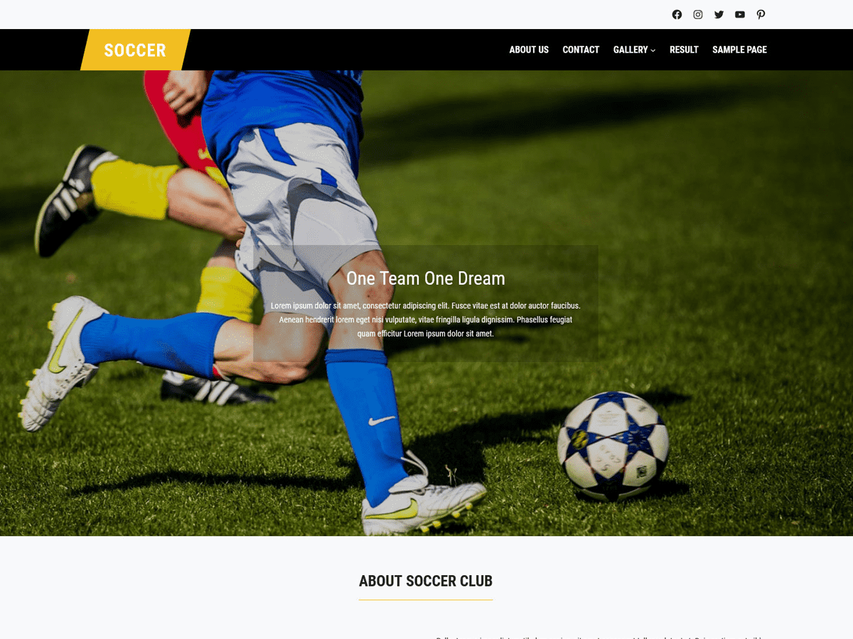 FSE Soccer