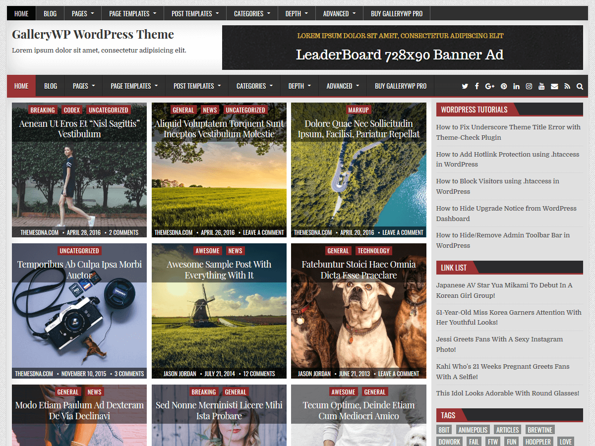 GalleryWP - Tema WordPress GalleryWP
