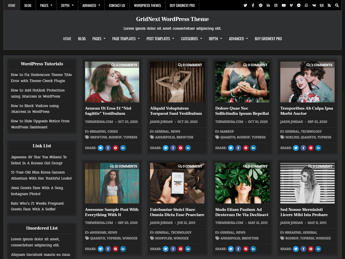 GridNext - Tema WordPress GridNext