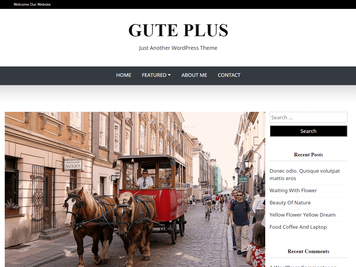 Gute plus - Tema WordPress Gute plus