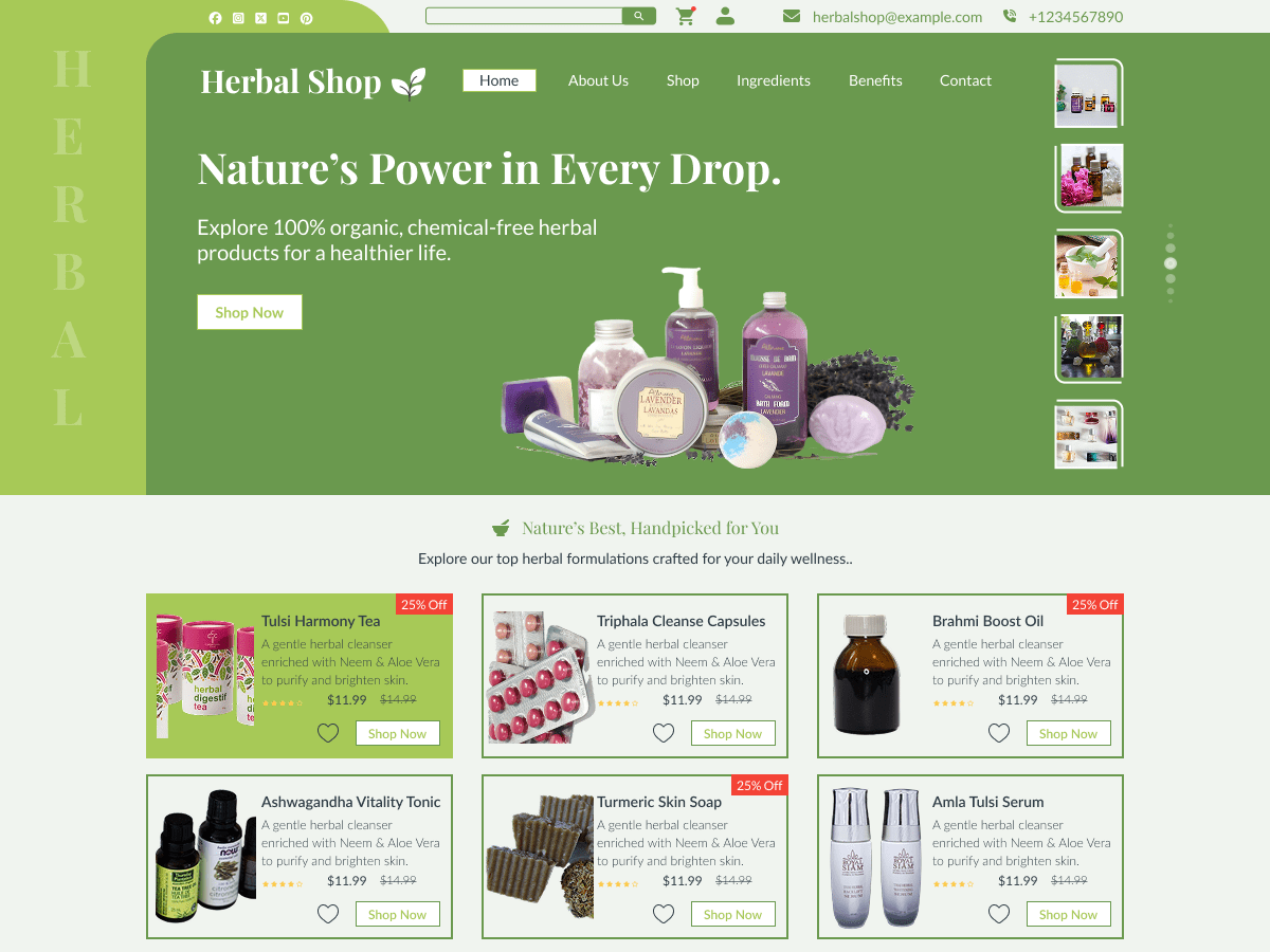 Herbal Products Shop - Tema WordPress Herbal Products Shop