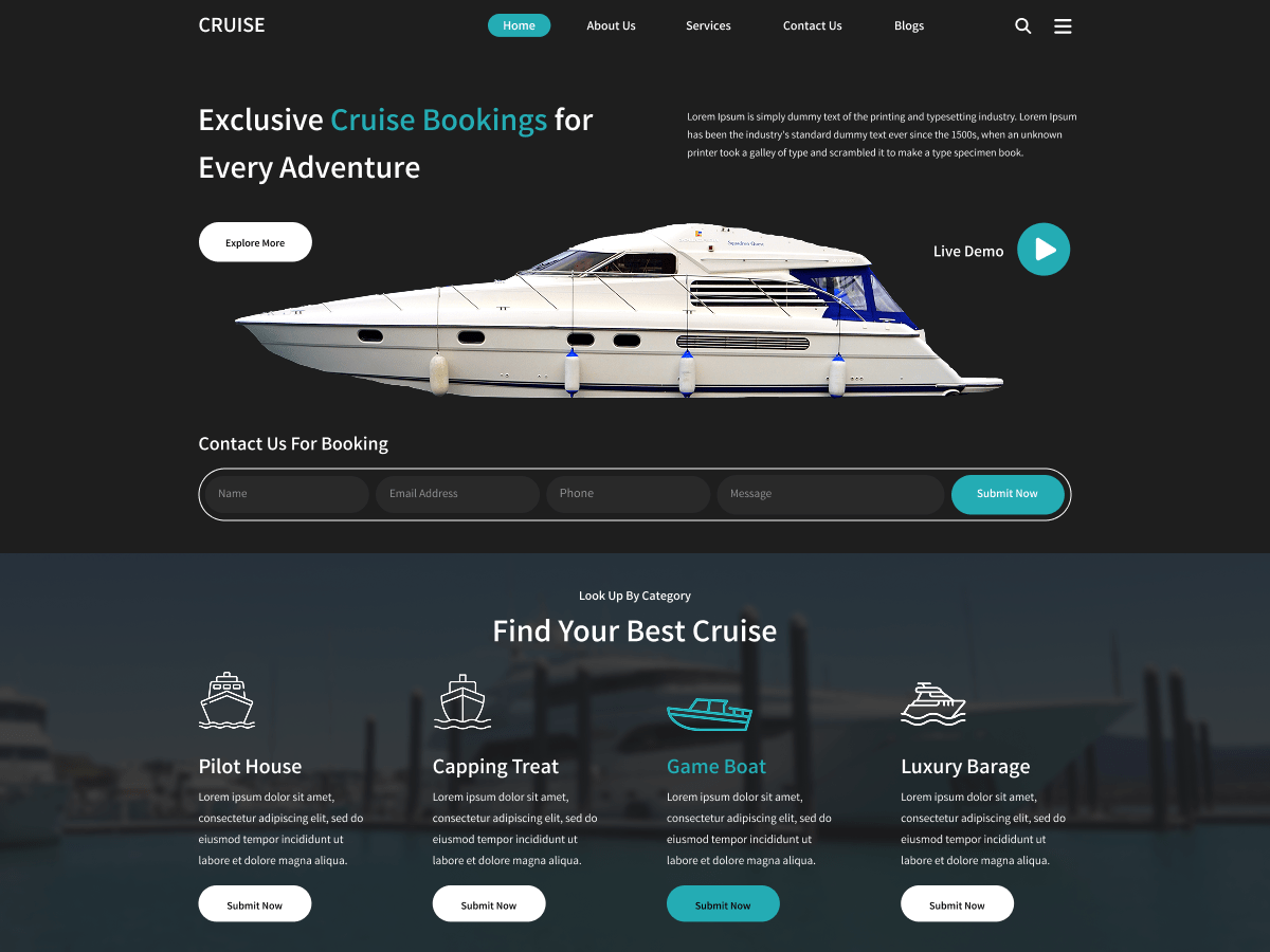 Holiday Travel Cruise