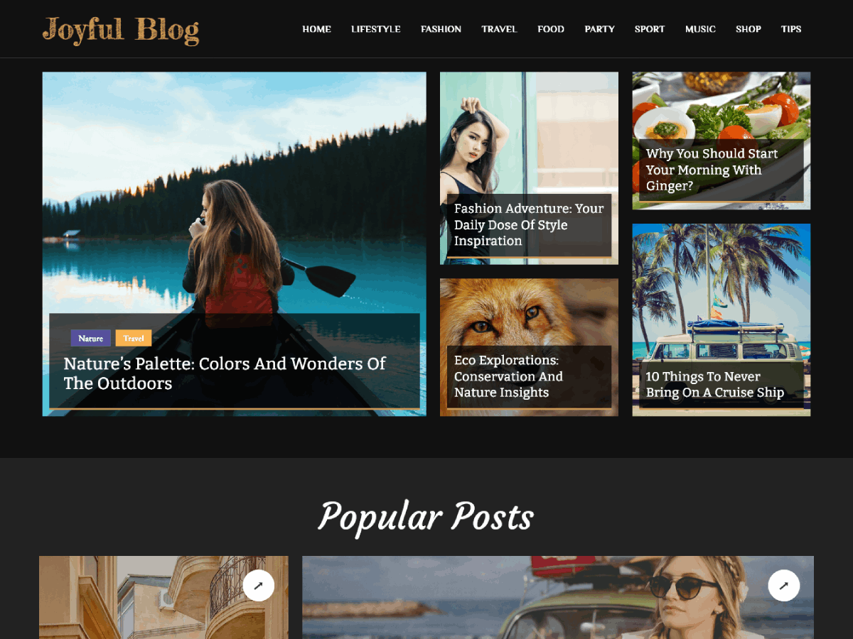 Joyful Blog
