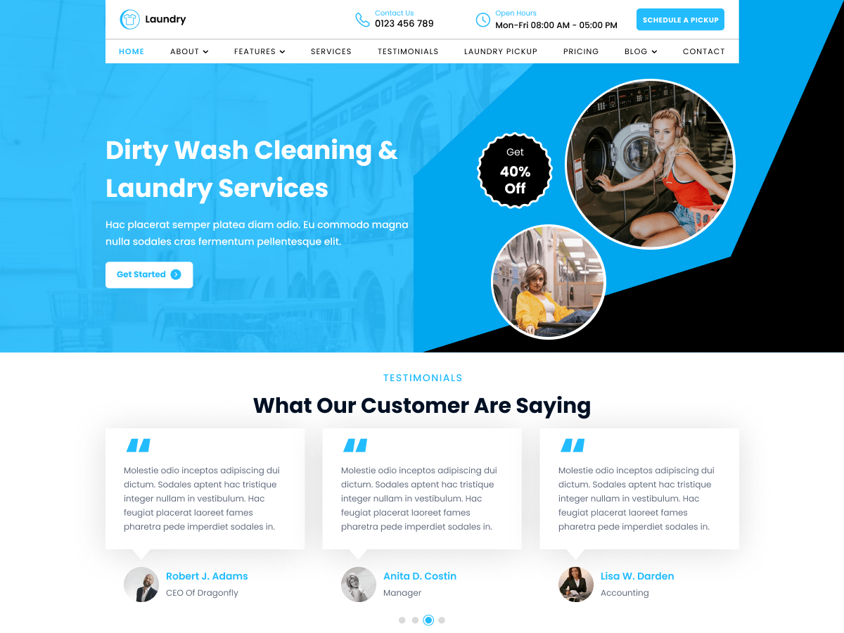 Laundry Cleaner