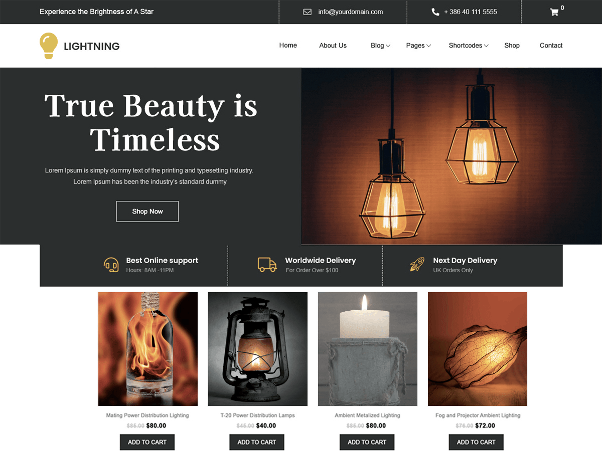 Lighting Store