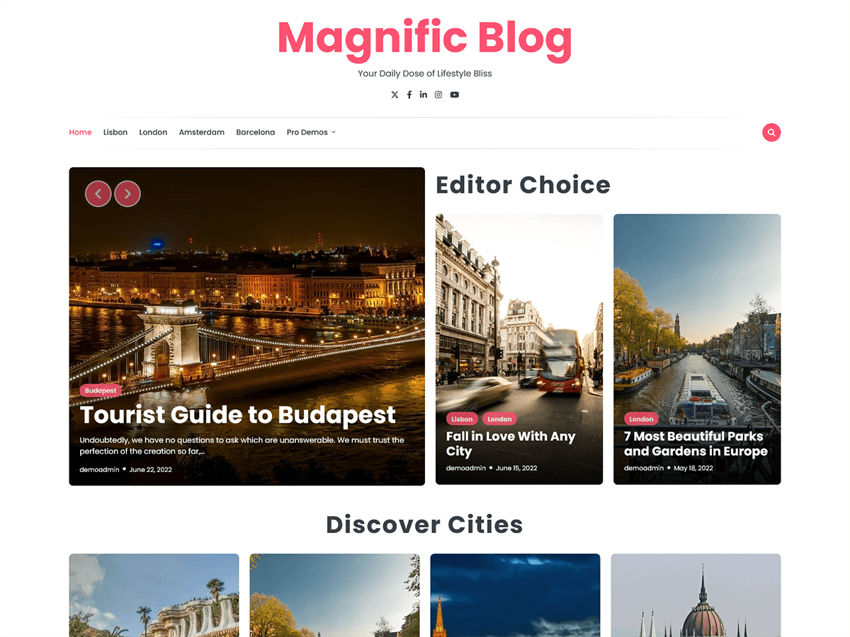 Magnific Blog