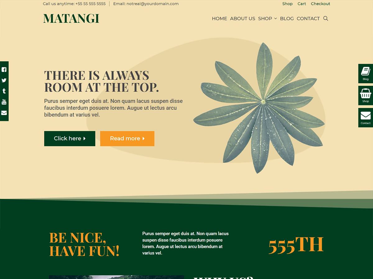 Matangi