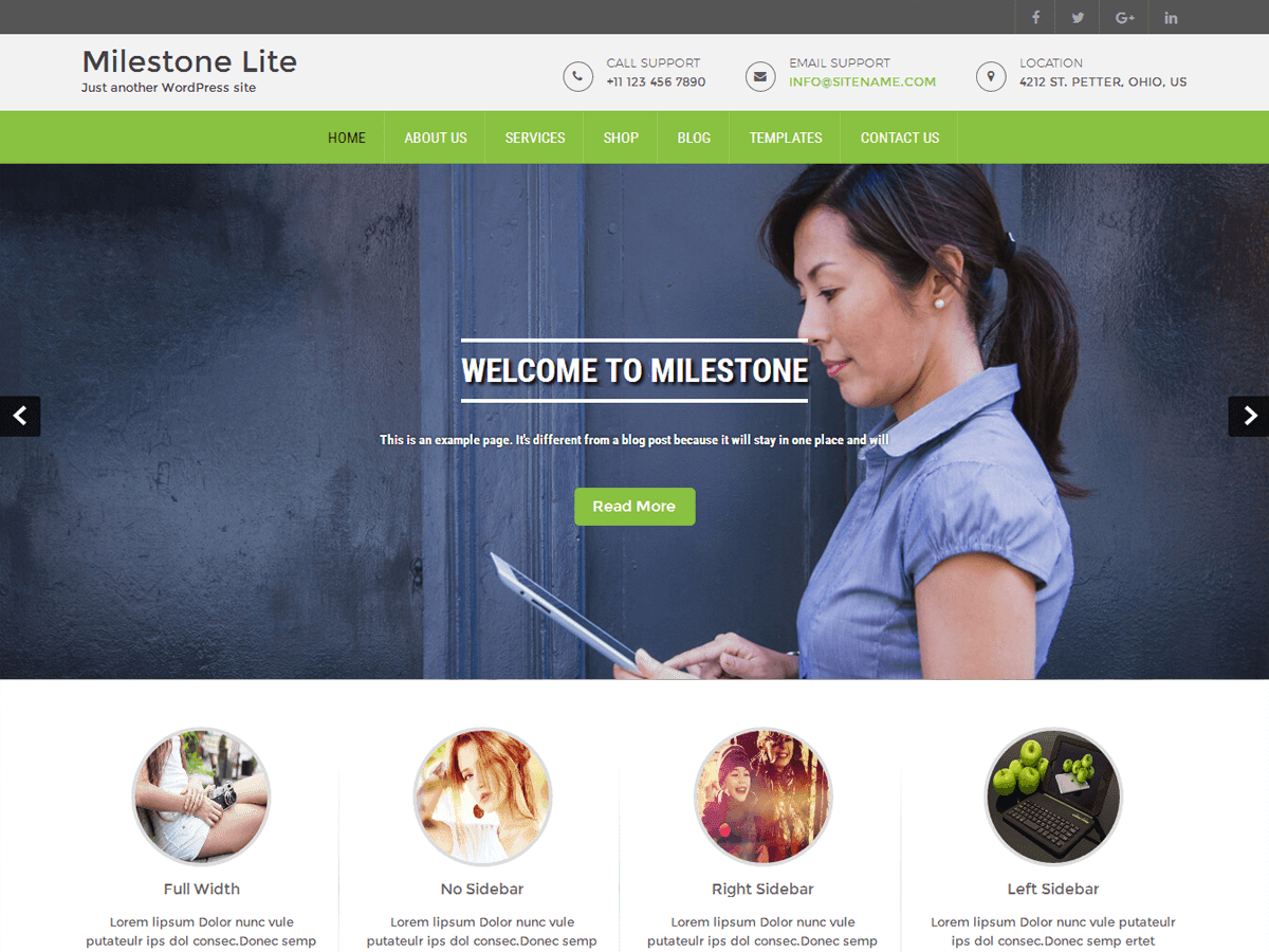Milestone lite