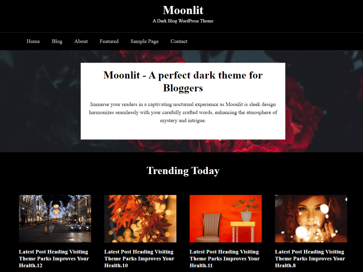 Moonlit Dark