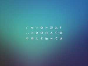 24 Social Network Glyph Icons