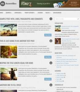 AccentBox Responsive