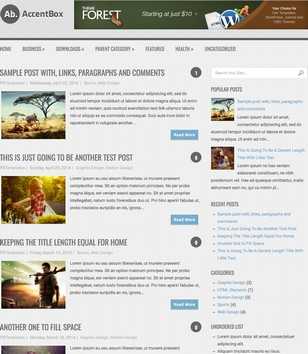 AccentBox Responsive